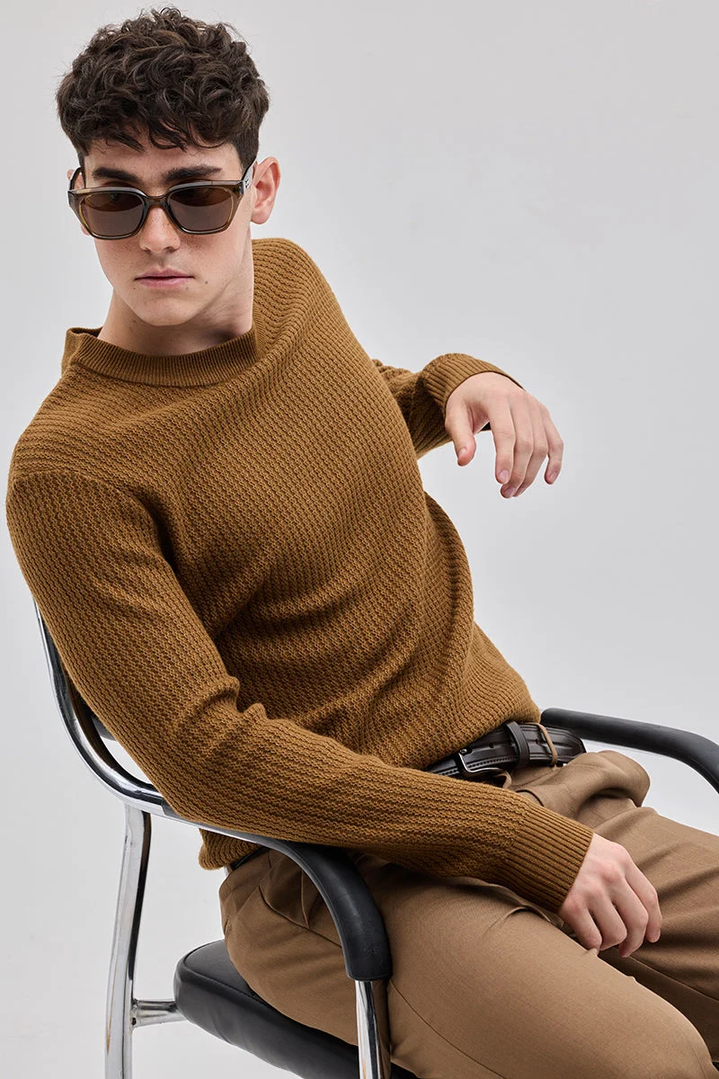 سنيتش Brown Textured Long Sleeve Regular Fit Casual Sweater