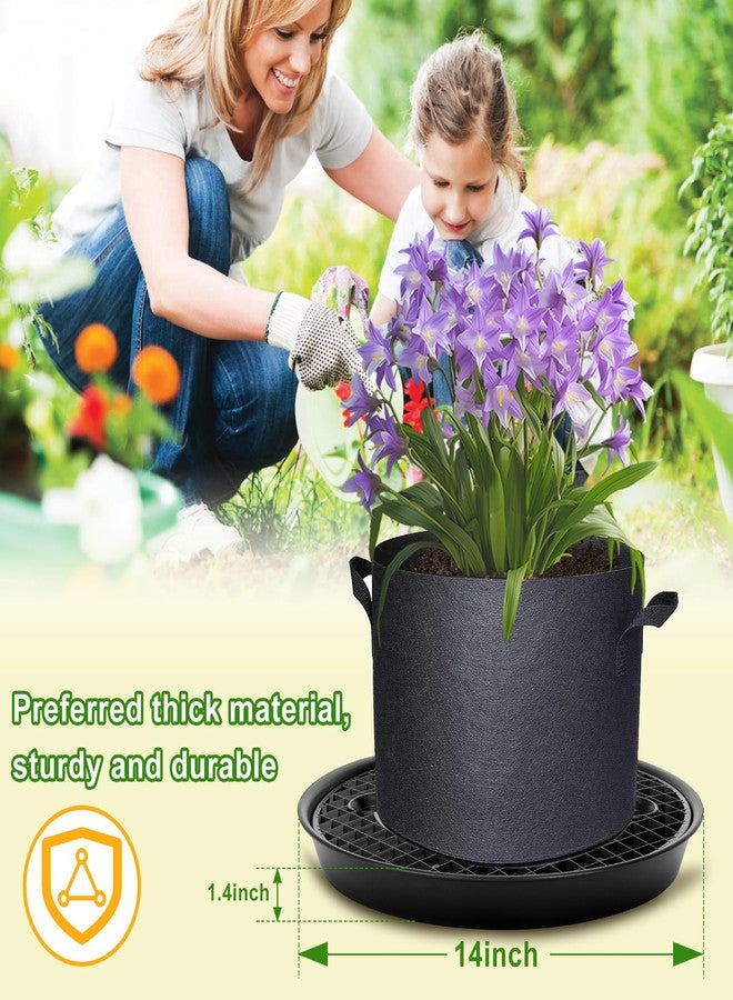 P Polerden 4PCS Self-Watering Fabric Pot Base Elevated Plant Saucers, Automatic watering tray for fabric planters saves， Decorative Pot Stands for Indoor Plants - Image 5