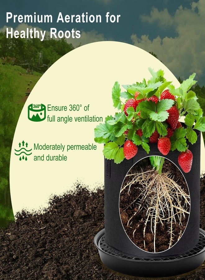 P Polerden 4PCS Self-Watering Fabric Pot Base Elevated Plant Saucers, Automatic watering tray for fabric planters saves， Decorative Pot Stands for Indoor Plants - Image 3