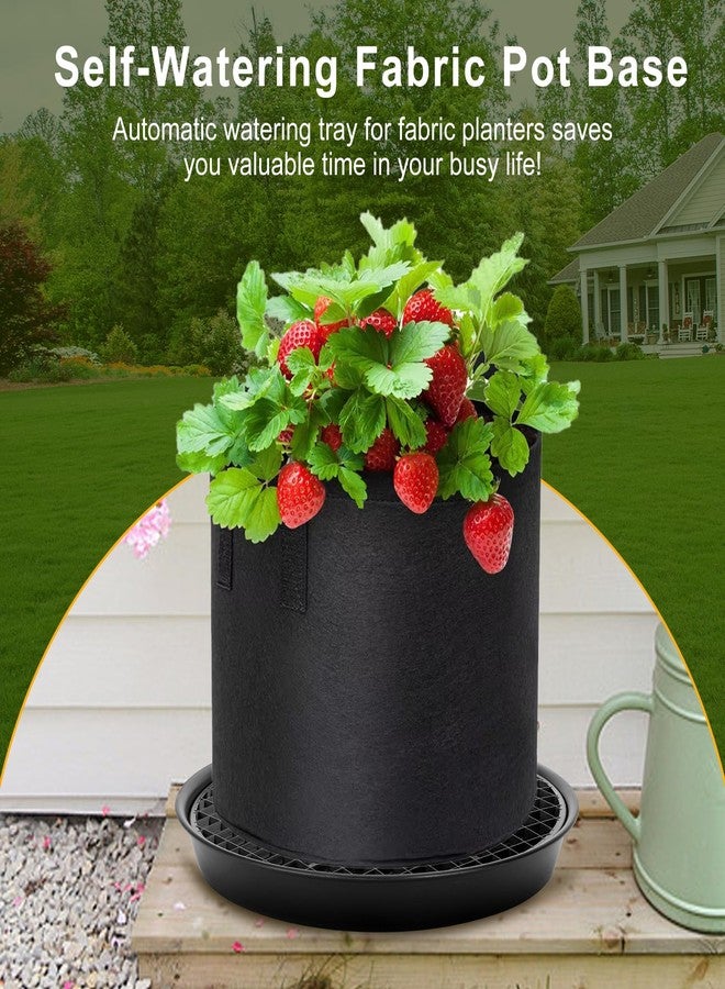 P Polerden 4PCS Self-Watering Fabric Pot Base Elevated Plant Saucers, Automatic watering tray for fabric planters saves， Decorative Pot Stands for Indoor Plants - Image 2