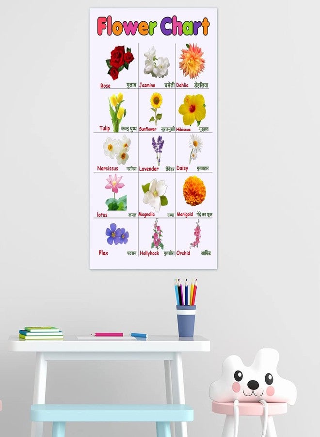 100Yellow® Flowers Name Chart For Kids Learning | Perfect For Home schooling, Kindergarten and Nursery Students | (Paper Used: 300 GSM |12 x 18 Inches | Multicolor) Unframed - Image 3