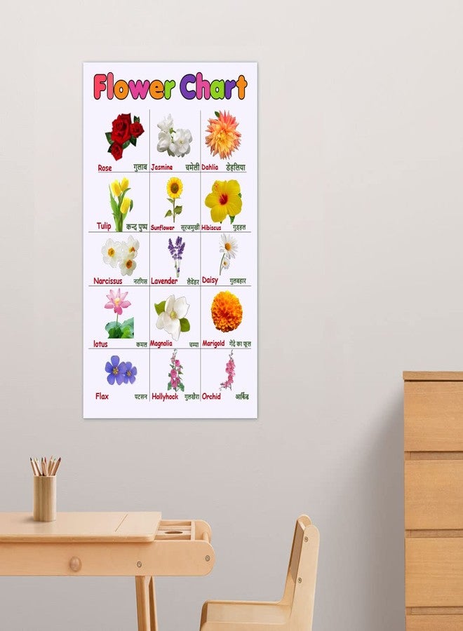 100Yellow® Flowers Name Chart For Kids Learning | Perfect For Home schooling, Kindergarten and Nursery Students | (Paper Used: 300 GSM |12 x 18 Inches | Multicolor) Unframed - Image 2