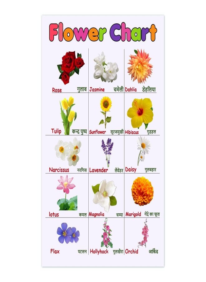 100Yellow® Flowers Name Chart For Kids Learning | Perfect For Home schooling, Kindergarten and Nursery Students | (Paper Used: 300 GSM |12 x 18 Inches | Multicolor) Unframed - Image 1