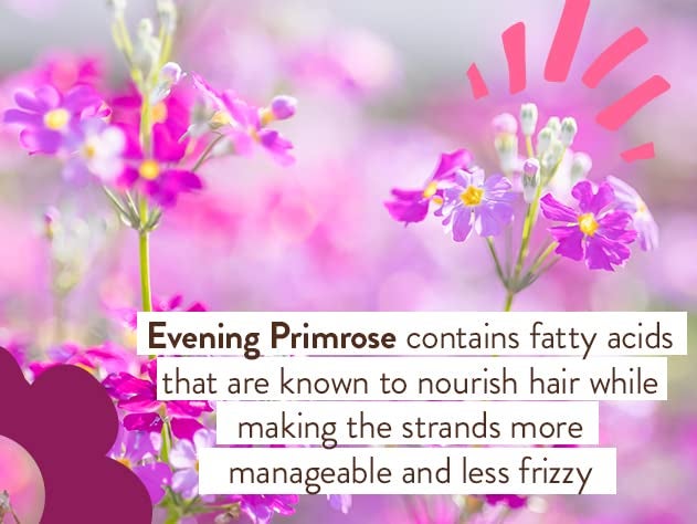 Babo Botanicals Smoothing Conditioner with Evening Primrose Oil, Coconut Oil and Provitamin B5 - For Babies, Kids and Adults with Tangly or Unruly Hair - Vegan - Image 3