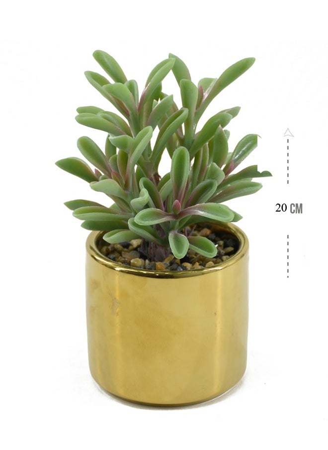 DRAMA HOME Artificial Succulent Plant Home Décor Artificial Indoor Plants in Gold Ceramic Pot  - Image 2
