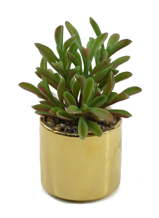 DRAMA HOME Artificial Succulent Plant Home Décor Artificial Indoor Plants in Gold Ceramic Pot  - Image 1