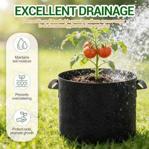 EOKOICA 5-Pack 5 Gallon Grow Bags, Thickened Aeration Fabric Pots with Handles, Heavy Duty Plant Bags for Vegetables, Tomatoes, Potatoes, Fruits & Flowers, Reusable Garden Pots for Plants - Image 3