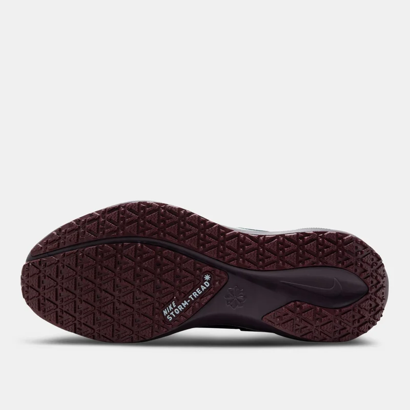 Nike Blue Women's Pegasus 41 GORE-TEX Road Running Shoes for Women | Best Price UAE