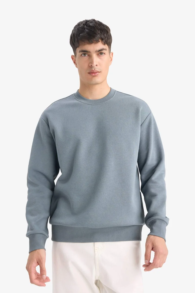 DeFacto Relax Fit Crew Neck Thick Basic Sweatshirt