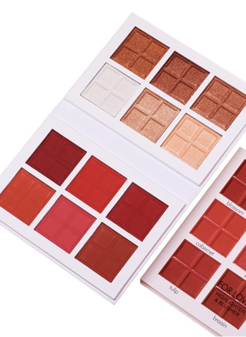 2 in 1 Highlighter And Blusher Palette