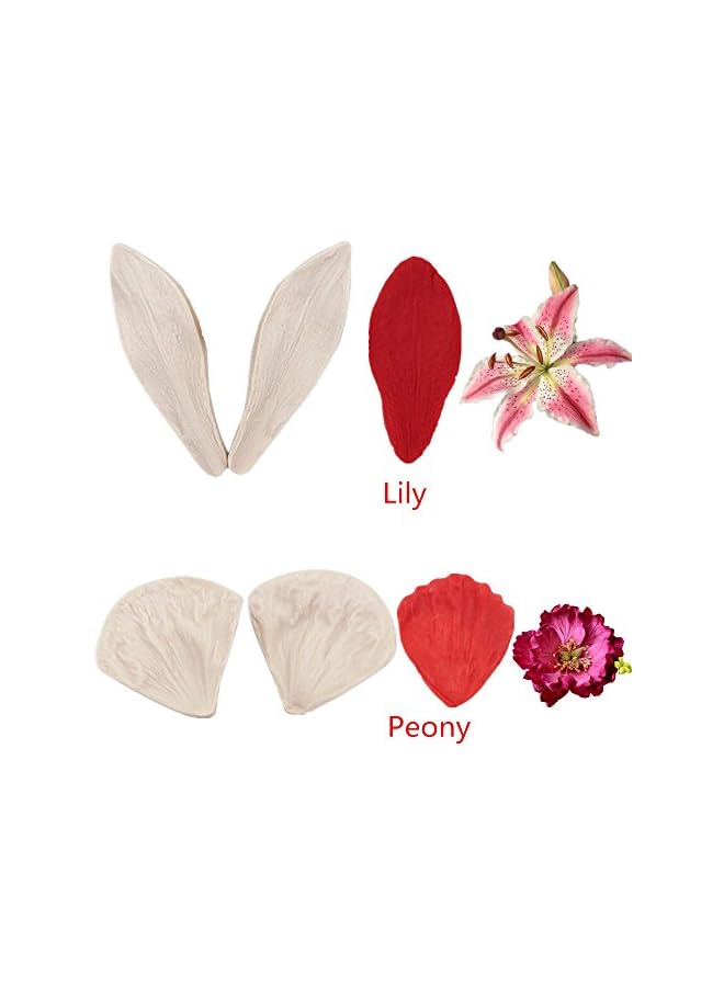 S-TOP 6set Gumpaste Fondant Rose Veined Mold - Gum Paste Peony, Sugar Flower Cake Decorating Tool for Lily, Daisy, Hydrangea Wedding Cake Decoration - Image 2