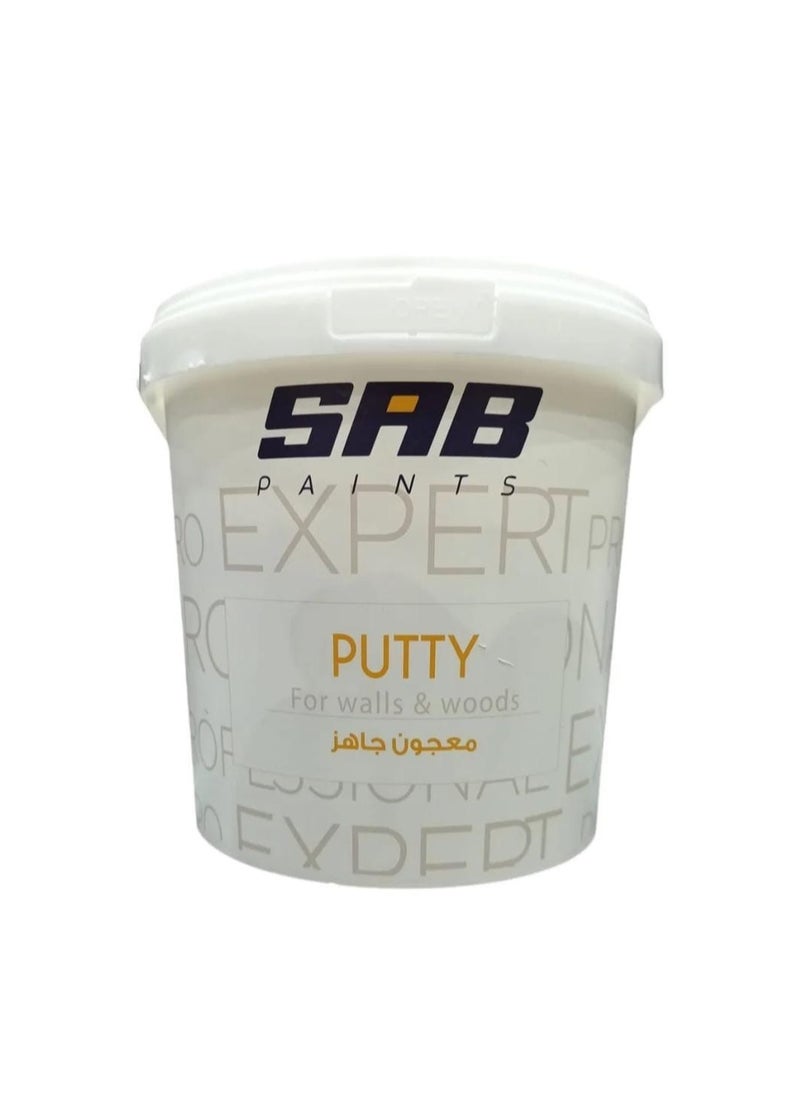 SAB SAB Expert Putty for Walls & Woods 1KG 
