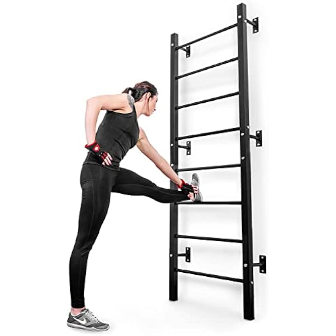 rayihni رف حائط هوب سبورت لجيمناستيك مثبت على الحائط HS-1008K مع محطة غطس، بار سحب ومدرب بطن - Image 3