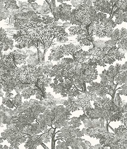 Chesapeake Black Spinney Toile Wallpaper, 3115-12542 - Image 5