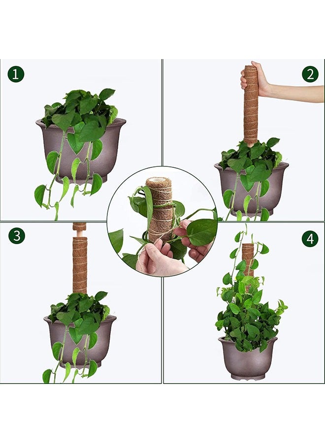 يلا جوي قطب الطعش 30 بوصة لنباتات التسلق - 2 جهاز كمبيوتر شخصي 15 بوصة دعم مصنع توتيم الخناف لتسلق النباتات المكشوفة في الأماكن الداخلية مع روابط حديقة 13 قدم - Image 3