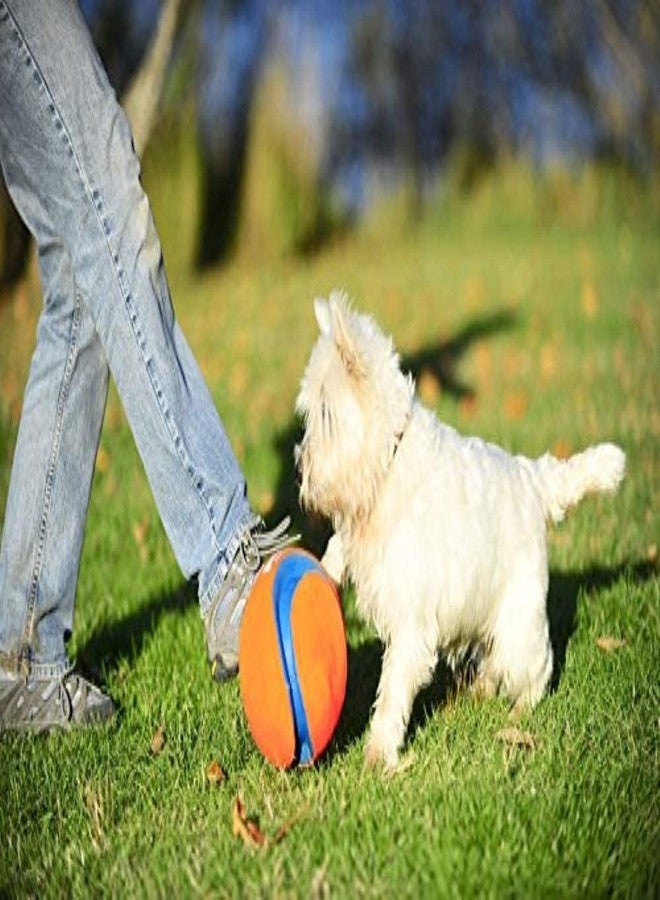 Chuckit! Kick Fetch Ball Small Ball - 5.5" Diametger (1 Pack) - Pack of 2 - Image 3