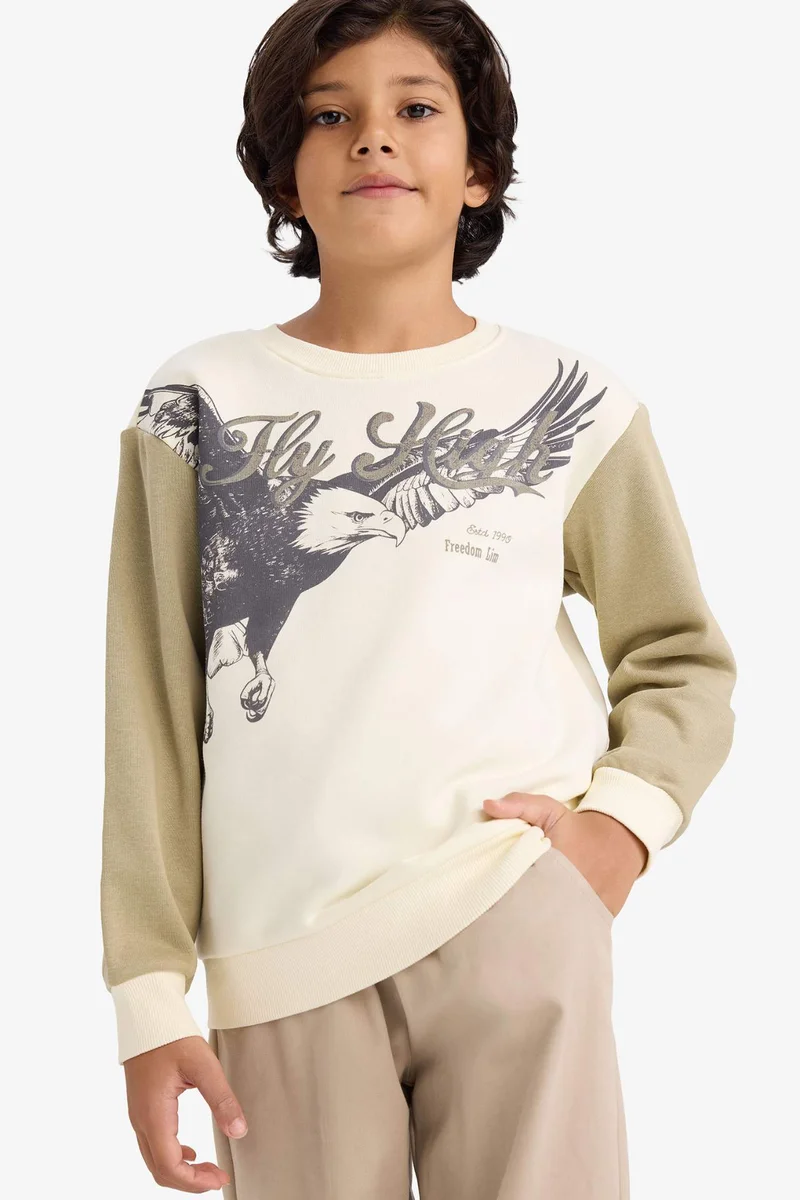 DeFacto Boy Crew Neck Printed Soft Fleece Lining Sweatshirt