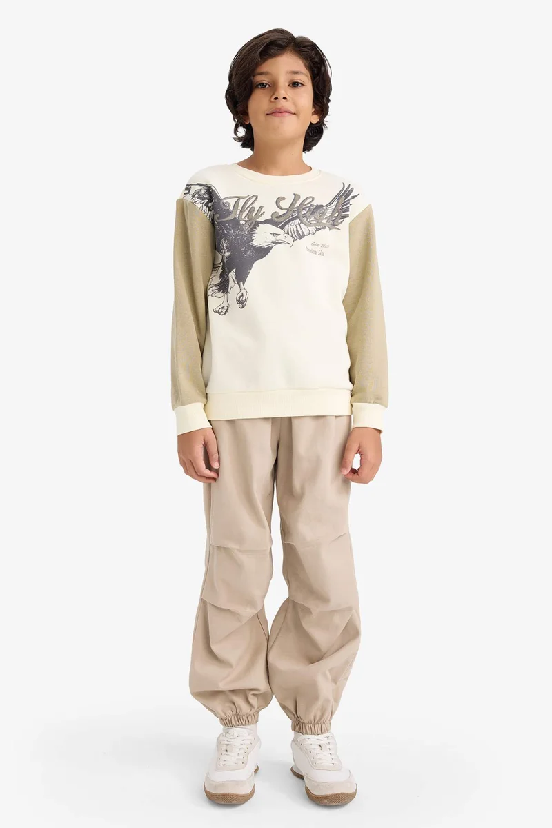 DeFacto Boy Crew Neck Printed Soft Fleece Lining Sweatshirt