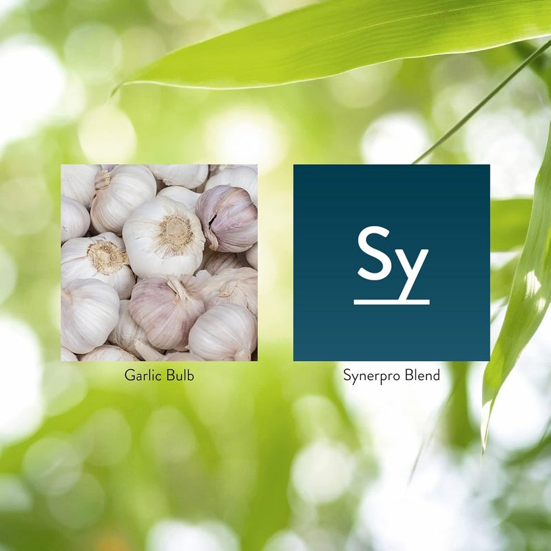 Nature's Sunshine High Potency Garlic Tablets - Immune System Support, 60 Count - Image 5