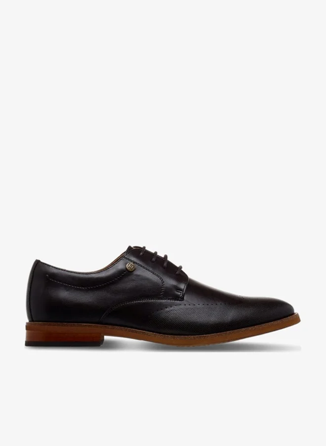DUCHINI Men Lace-Up Derby Shoes