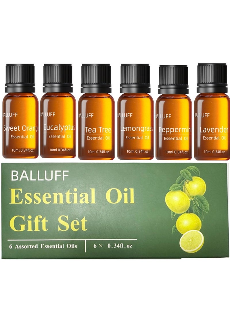 مجموعة من 6 زيوت عطرية فاخرة للعلاج بالروائح العطرية، مستخلص نباتي 10 مل*6 - Image 2
