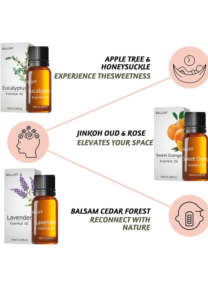 مجموعة من 6 زيوت عطرية فاخرة للعلاج بالروائح العطرية، مستخلص نباتي 10 مل*6 - Image 3