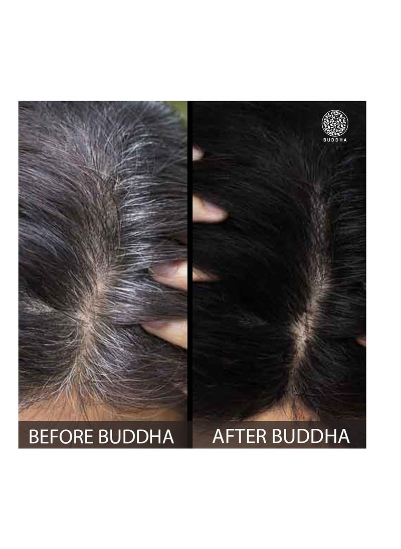 Buddha Natural Black Hair Color Powder 100% Ayush Certified Natural Instant No Chemicals Only Plant Powders 100GM - pzsku/Z1B0E2D7D5A9CDFE72F31Z/45/_/1696846233/e880a943-5f8f-4925-981c-baed6a08a3f7