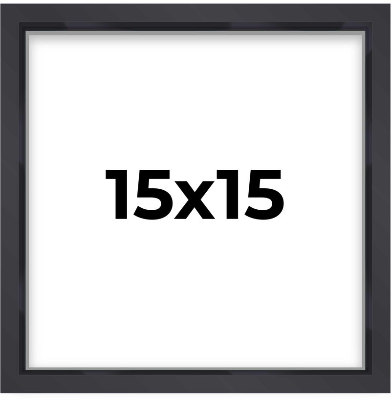 Poster Palooza 15x15 Shadow Box Frame Contemporary Black Finish  34 Depth of Usable Space Interior Size 15x15 Inches UV Resistant Acrylic AcidFree Backing Wall Hangers  Made in USA 