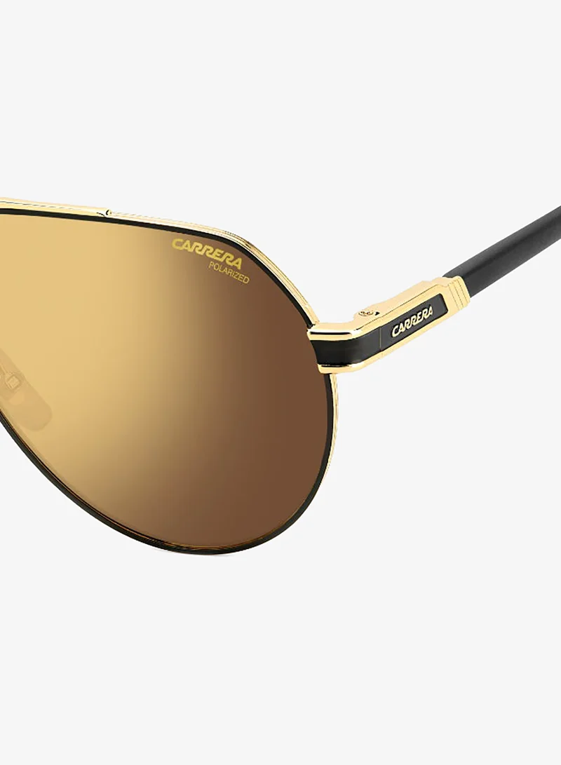 Carrera  Pilot Carrera Sunglasses  | Best Price UAE
