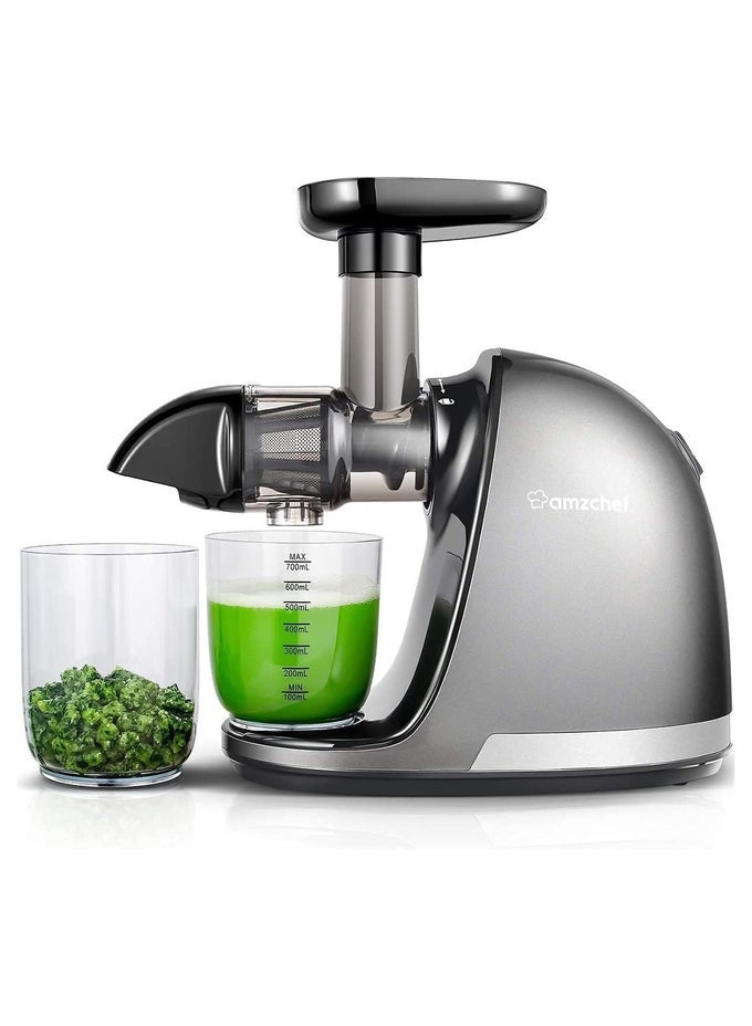 JUICER MACHINES COLD PRESS SLOW JUICER MASTICATING JUICER FOR WHOLE FRUITS AND VEGETABLES DELICATE CHEW NO NEED TO FILTER BPA FREE JUICE EXTRACTOR GREY