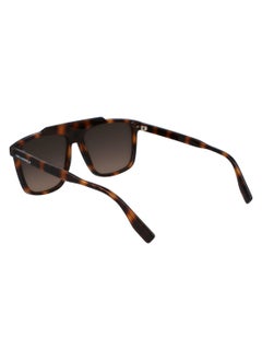 Karl Lagerfeld FULL RIM BIO INJECTED INJECTED KARL LAGERFELD SUNS KL6107S 5816 (240) TORTOISE  - Image 5