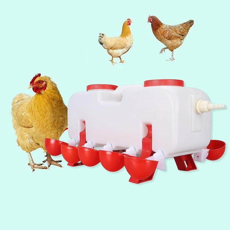 سقاية دجاج أوتوماتيكية بالكامل بسعة 10 لتر مع 10 أكواب، وحوض تغذية دواجن كبير السعة - Image 3