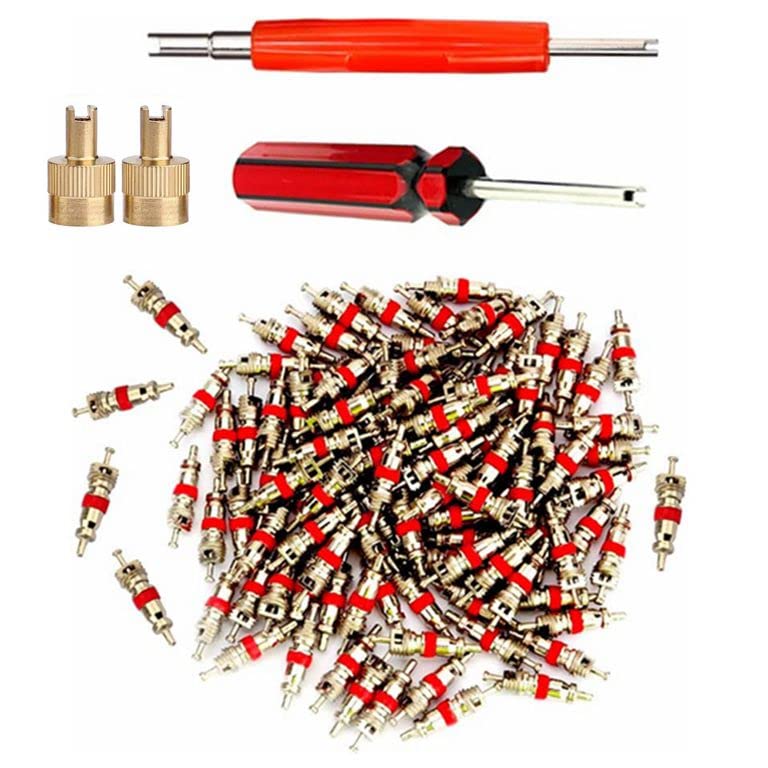 Aracey Valve Core Remover with 100 Pcs Car Truck Replacement TPMS Nickel Plated Tire Tyre Valve Stem Core Dual Single Head Valve Core Remover Tire Repair Tool Set - Image 1
