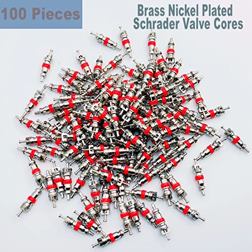 Aracey Valve Core Remover with 100 Pcs Car Truck Replacement TPMS Nickel Plated Tire Tyre Valve Stem Core Dual Single Head Valve Core Remover Tire Repair Tool Set - Image 2