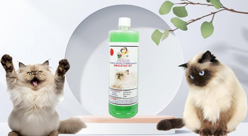 SWACCH Shampoo Specially FORMULATED for Himalayan Cat (1 Litre) NEEM ALOEVERA - Image 1