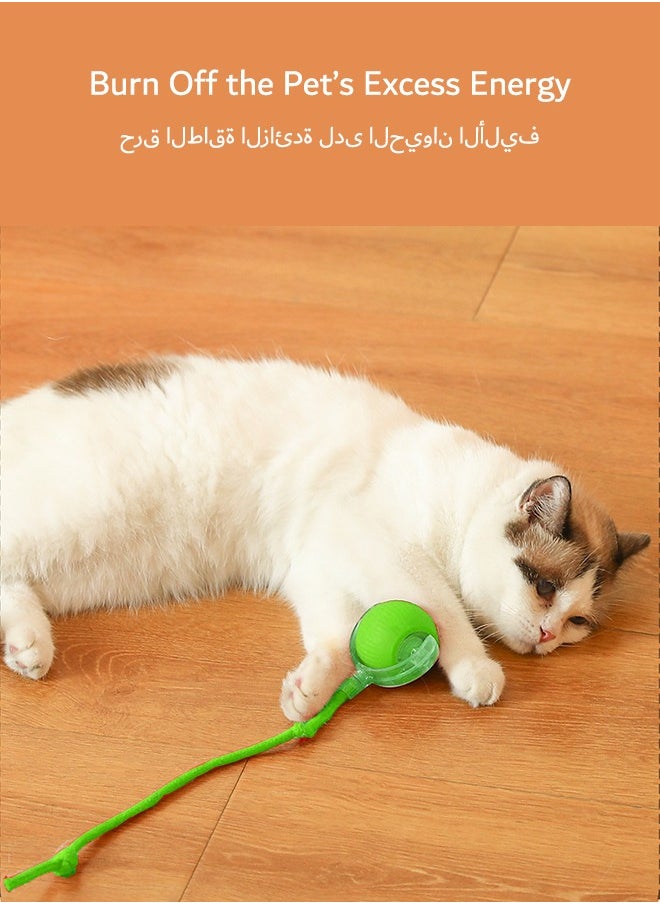 tangs - Interactive Rolling Pet Toy Ball, 360° Smart Automatic Self Rolling Cat Dog Ball Toys, Smart Interactive Pet Toy Ball, USB Rechargeable Cat Toys Ball, Automatic Electric Moving Ball Toy for Indoor Outdoor Cat/Dog (Green) - Image 1