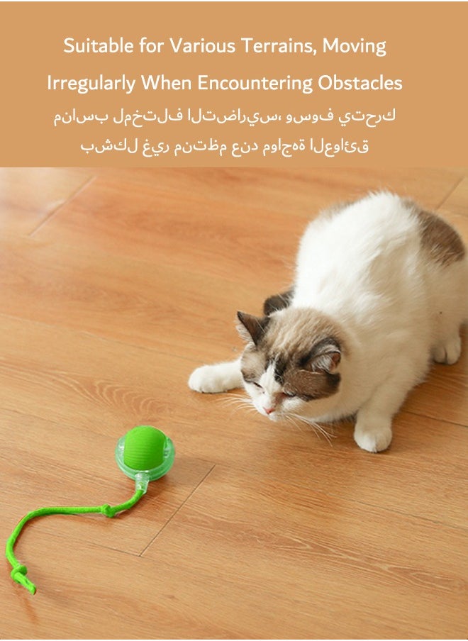 tangs - Interactive Rolling Pet Toy Ball, 360° Smart Automatic Self Rolling Cat Dog Ball Toys, Smart Interactive Pet Toy Ball, USB Rechargeable Cat Toys Ball, Automatic Electric Moving Ball Toy for Indoor Outdoor Cat/Dog (Green) - Image 1