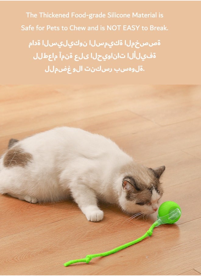 tangs - Interactive Rolling Pet Toy Ball, 360° Smart Automatic Self Rolling Cat Dog Ball Toys, Smart Interactive Pet Toy Ball, USB Rechargeable Cat Toys Ball, Automatic Electric Moving Ball Toy for Indoor Outdoor Cat/Dog (Green) - Image 1