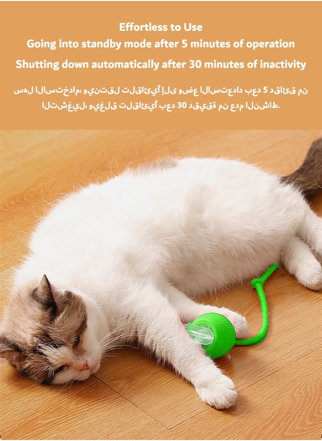 tangs - Interactive Rolling Pet Toy Ball, 360° Smart Automatic Self Rolling Cat Dog Ball Toys, Smart Interactive Pet Toy Ball, USB Rechargeable Cat Toys Ball, Automatic Electric Moving Ball Toy for Indoor Outdoor Cat/Dog (Green) - Image 1
