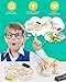 Poraxy Dinosaur Toys 4 in 1 STEM Kits for Kids Age 810 Toys for Ages 813 Educational Science Building Projects 3D Wooden Puzzles Robot Crafts Gifts for Boys Girls 7 8 9 10 11 12 13 Year Old - Image 4