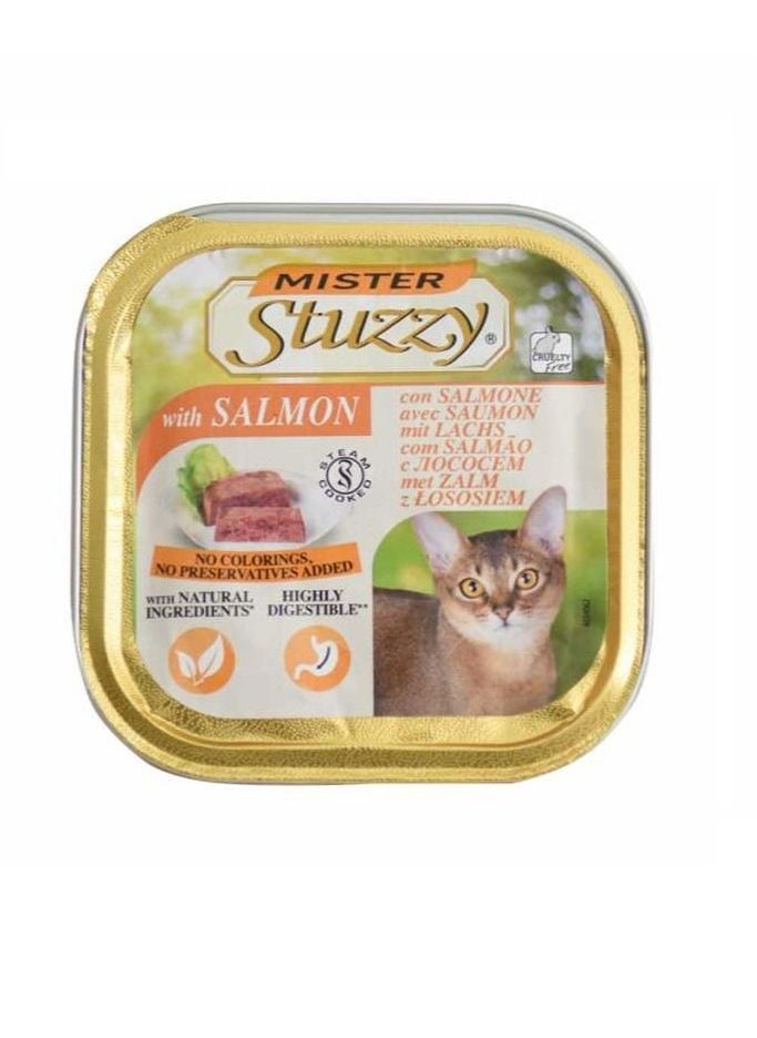Stuzzy - Mister Stuzzy Cat With Salmon Wet Food - Image 1