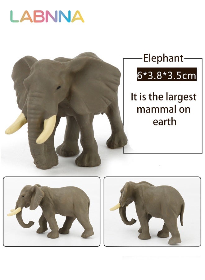 LABNNA 12PCS Realistic Wild Animals Figures with 12 Cards, Early Educational Toy for Kids, Fun Animal Model Toys, Parent-child Interactive Toy, Easy to Organize and Carry, Ideal Gift for Kids Aged 3+ - Image 4