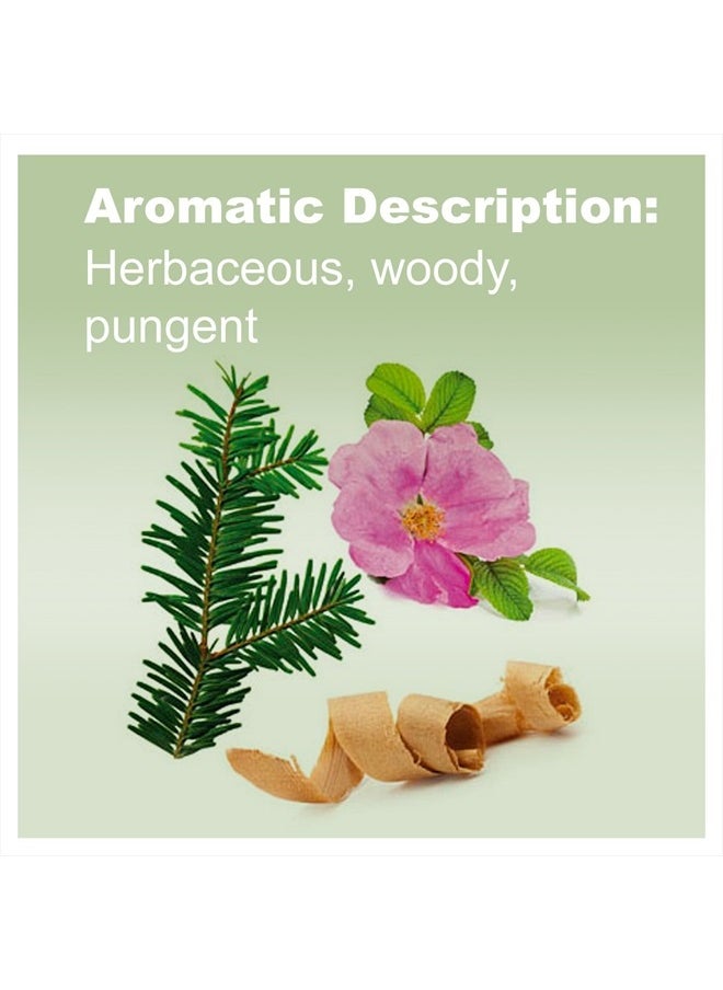doTERRA - doTERRA - TerraShield Essential Oil Outdoor Blend - 15 mL - Image 1