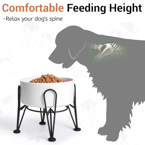 Kitwinney Elevated Dog Bowls, Ceramic Raised Dog Bowl Set with Anti-Slip and Non-Tip Metal Stand, 2 Pack Pet Food and Water Feeding Bowls for Small and Medium Dogs (White,7.6 Cups) - Image 2