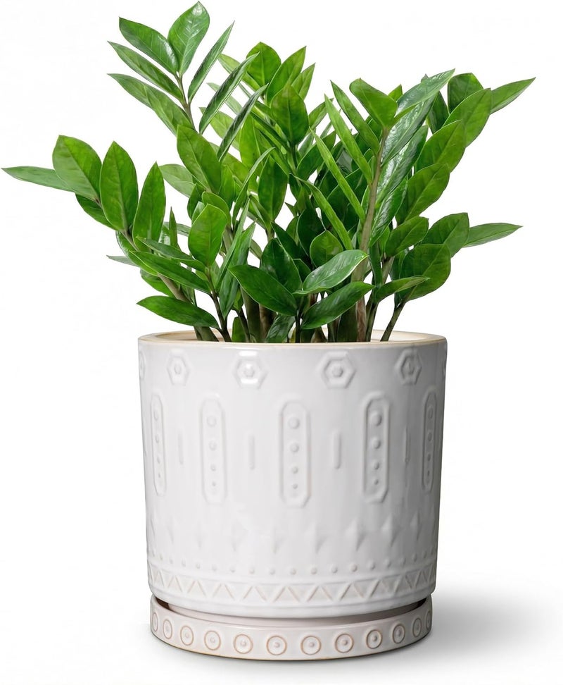 Eightpot 8 Inch Ceramic Planter Pot Plant Pot with Drainage Hole and Saucer, Round Large Flower Pot for Indoor Plants Outdoor Garden Planter Pot, Off White - Image 1