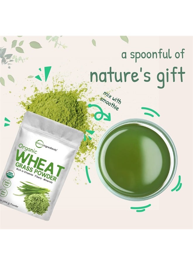 Micro Ingredients - Organic Wheat Grass Powder, 16 oz - Image 1