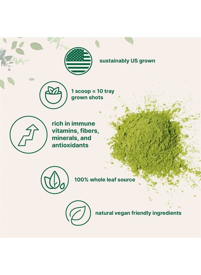 Micro Ingredients - Organic Wheat Grass Powder, 16 oz - Image 1