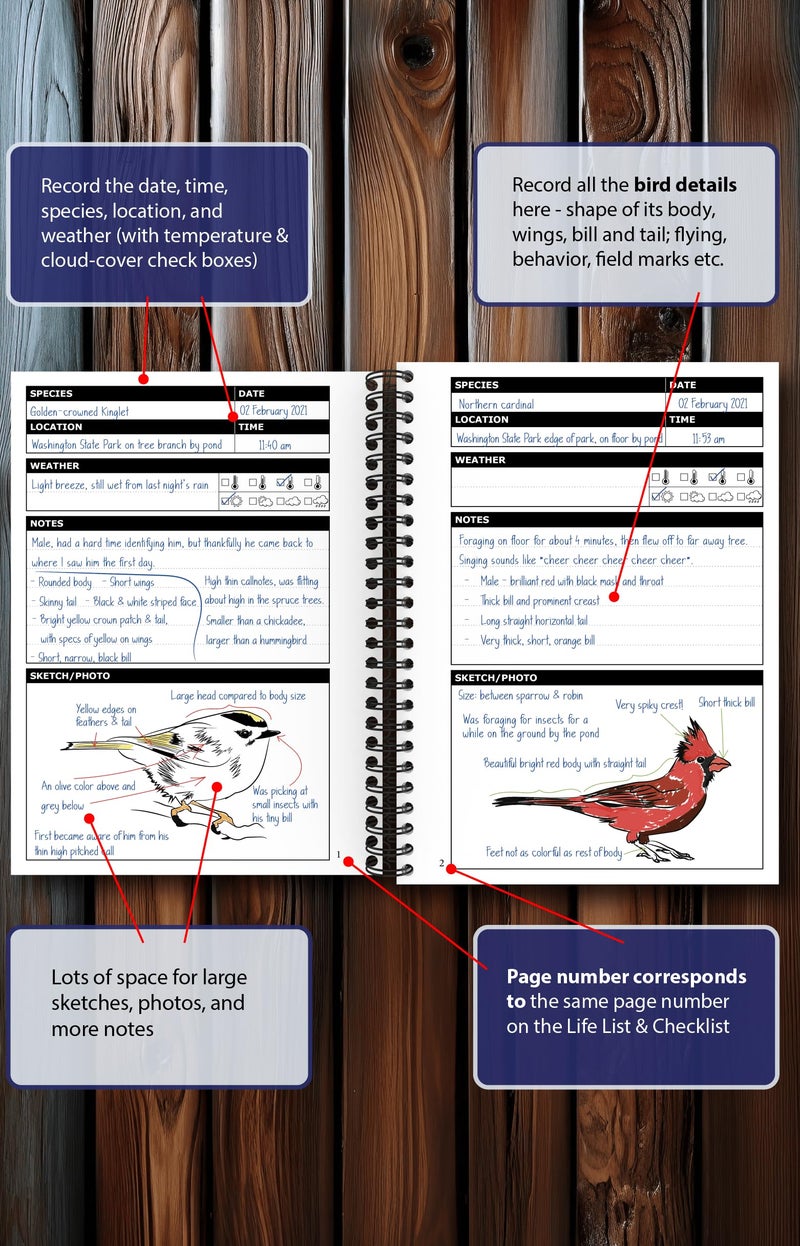OptiLiving Publishing Birding Journal with Life List & Checklist A5 - Image 2