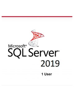SQL SERVER 2019 STANDARD 1 USER LIFETIME KEY