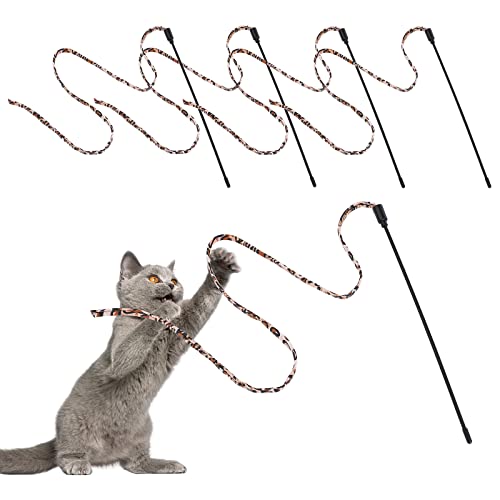 Molain Cat Wand Stick Toy 5pcs Rainbow Wand for Kittens Training Interactive Cat Exerciser Playing 30cm Leopard Print - Image 1